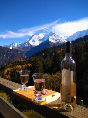 Appartement avec vue sur le géant des alpes